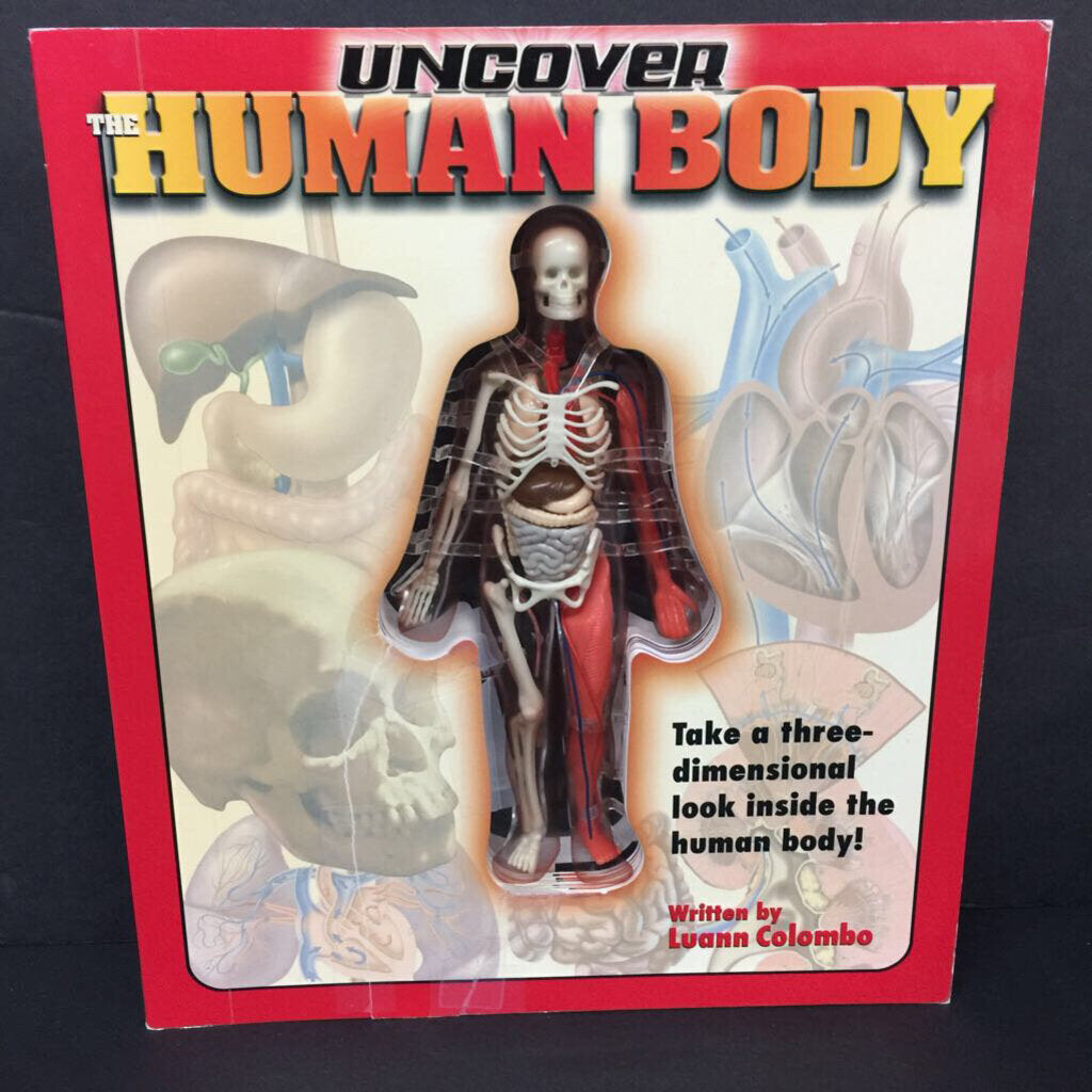 Uncover the Human Body (Luann Colombo) (Anatomy) -educational board