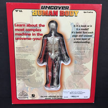 Load image into Gallery viewer, Uncover the Human Body (Luann Colombo) (Anatomy) -educational board
