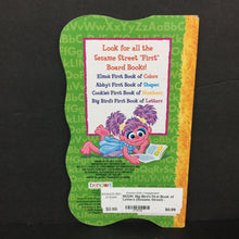 Load image into Gallery viewer, Big Bird&#39;s First Book of Letters (Sesame Street) -character board
