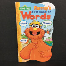 Load image into Gallery viewer, Murray&#39;s First Book of Words (Sesame Street) -character board
