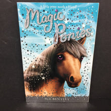 Load image into Gallery viewer, Winter Wonderland (Magic Ponies) (Sue Bentley) -series paperback
