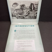 Load image into Gallery viewer, Ocean: A Photicular Book (Dan Kainen &amp; Carol Kaufmann) (Sea Animals) -educational motion board

