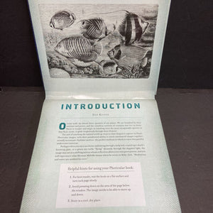 Ocean: A Photicular Book (Dan Kainen & Carol Kaufmann) (Sea Animals) -educational motion board