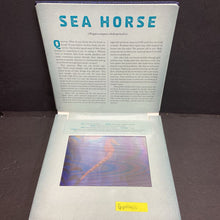 Load image into Gallery viewer, Ocean: A Photicular Book (Dan Kainen &amp; Carol Kaufmann) (Sea Animals) -educational motion board
