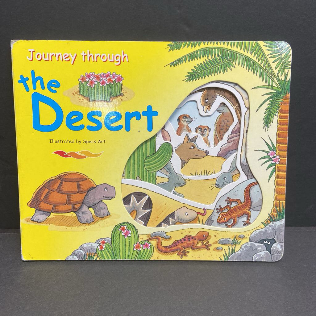 Journey Through the Desert (Specs Art) -board