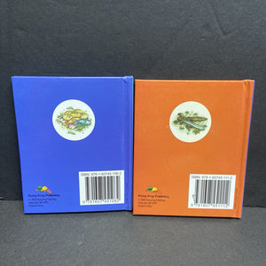 The Life of Jesus: From the New Testament Box Set (Soft-Cover) -religion hardcover