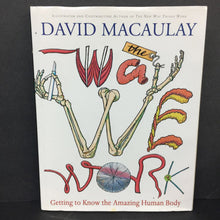 Load image into Gallery viewer, The Way We Work: Getting to Know the Amazing Human Body (David Macaulay) (Anatomy) -educational hardcover
