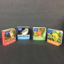 Load image into Gallery viewer, 4pk Britannica Kids Mini Board Book Set (Kaara Kallen) (Environment) -educational board
