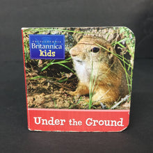 Load image into Gallery viewer, 4pk Britannica Kids Mini Board Book Set (Kaara Kallen) (Environment) -educational board
