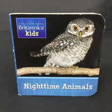Load image into Gallery viewer, 4pk Britannica Kids Mini Board Book Set (Kaara Kallen) (Environment) -educational board
