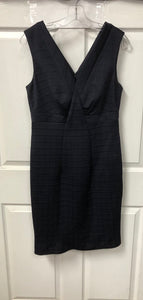 Sheath Dress (Donna Morgan)