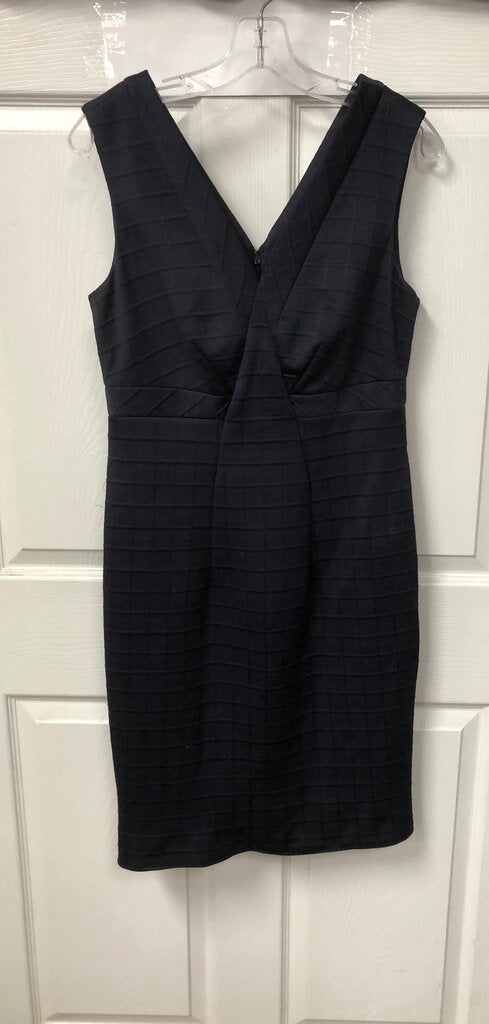 Sheath Dress (Donna Morgan)