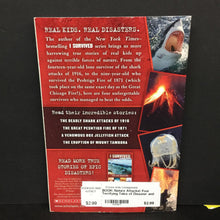 Load image into Gallery viewer, Nature Attacks!: Four Terrifying Tales of Disaster and Survival (I Survived True Stories) (Lauren Tarshis) -educational series paperback
