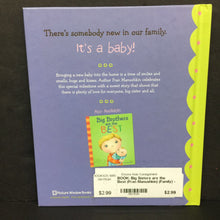 Load image into Gallery viewer, Big Sisters are the Best (Fran Manushkin) (Family) -hardcover
