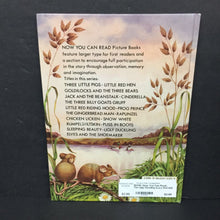 Load image into Gallery viewer, Now You Can Read... The Ugly Duckling (Lucy Kincaid) (Fairy Tale) -reader hardcover
