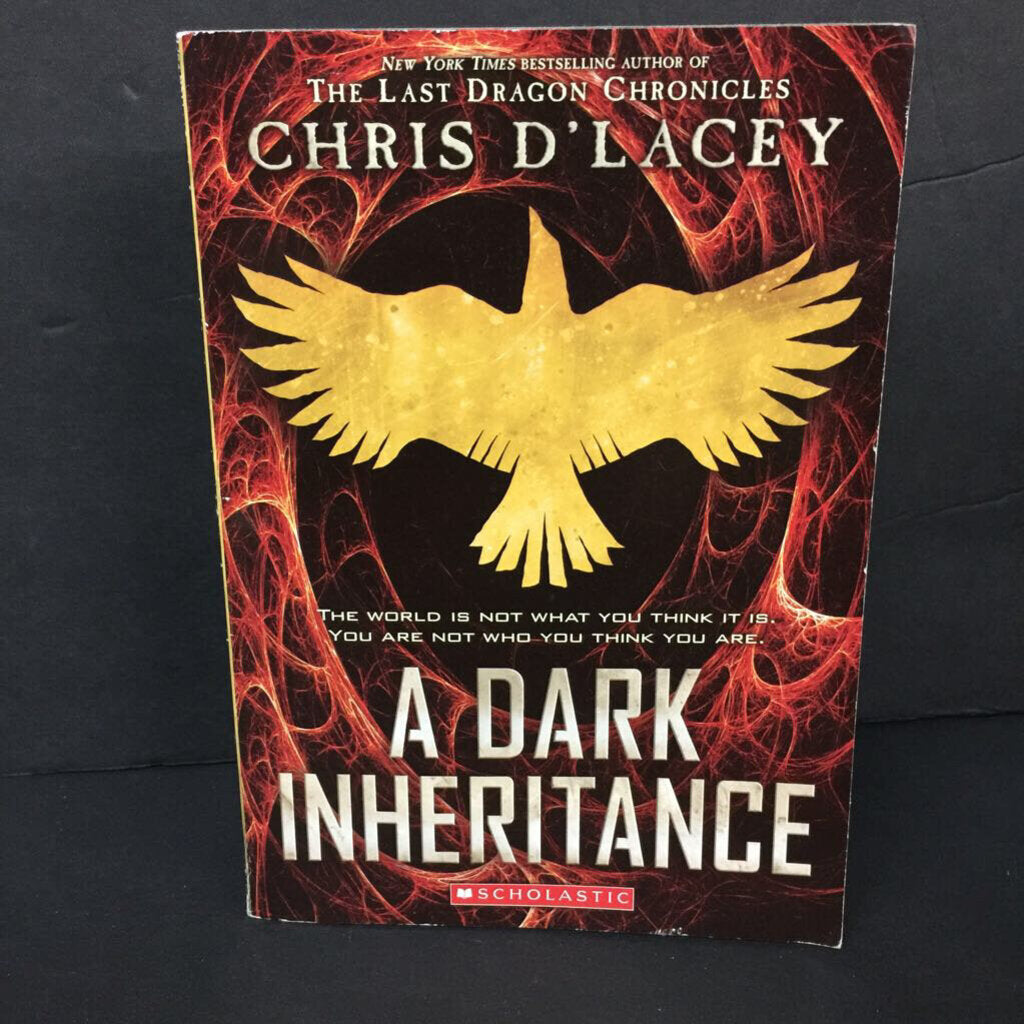A Dark Inheritance (Chris D'Lacey) (Unicorne Files) -series paperback
