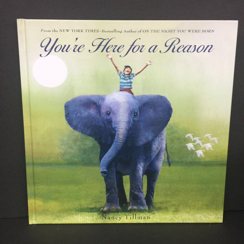 You're Here for a Reason (Nancy Tillman) -hardcover