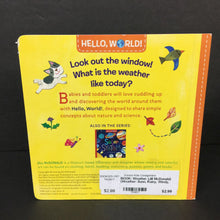 Load image into Gallery viewer, Weather (Jill McDonald) (Weather: Sunn, Rainy, Windy, Snowy) -board
