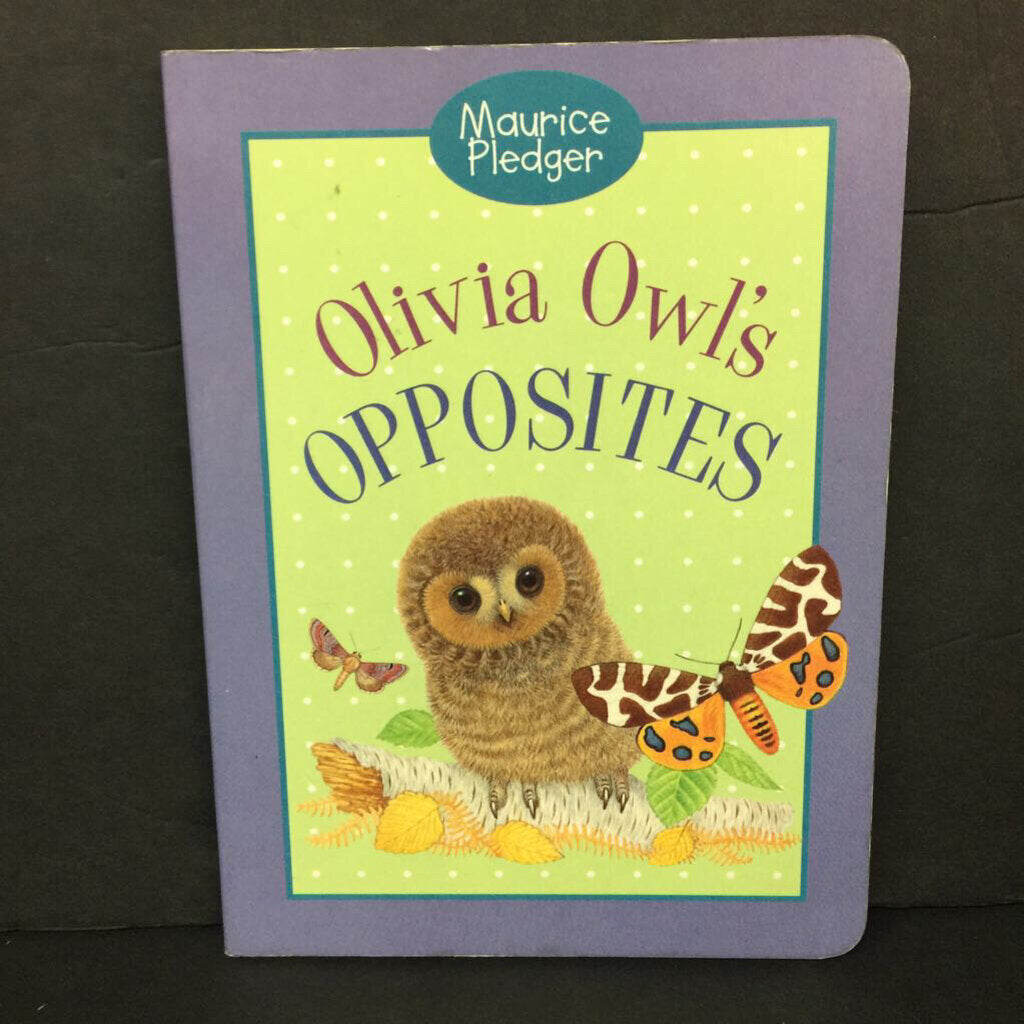 Olivia Owl's Opposites (Maurice Pledger) -board