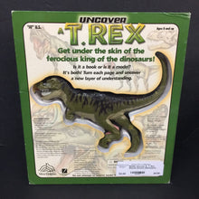 Load image into Gallery viewer, Uncover a T. Rex (Dennis Schatz) (Dinosaurs) -educational board

