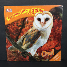 Load image into Gallery viewer, Owl: See How They Grow (DK) (Mary Ling) (Birds) -educational paperback
