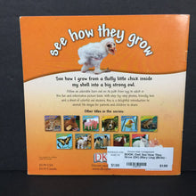 Load image into Gallery viewer, Owl: See How They Grow (DK) (Mary Ling) (Birds) -educational paperback
