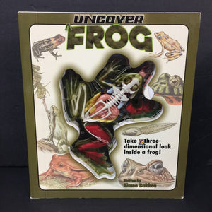 Uncover a Frog (Aimee Bakken) (Amphibians) -educational board