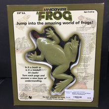 Load image into Gallery viewer, Uncover a Frog (Aimee Bakken) (Amphibians) -educational board

