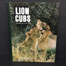 Load image into Gallery viewer, Lion Cubs: Growing Up in the Wild (National Geographic Kids) (Mammals) -educational hardcover
