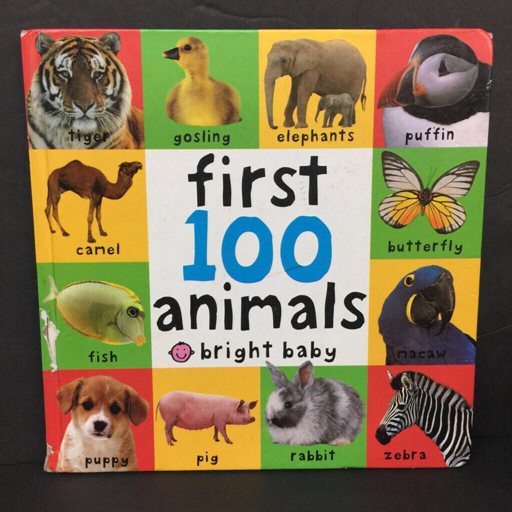 First 100 Animals (Roger Priddy Bright Baby) -educational board