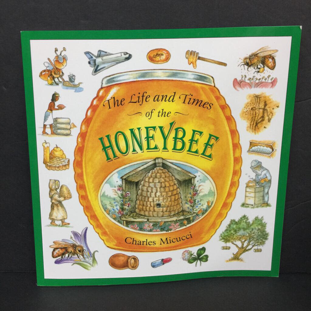 The Life and Times of the Honeybee (Insects) (Charles Micucci) -educational paperback