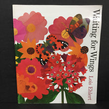 Load image into Gallery viewer, Waiting for Wings (Lois Ehlert) -paperback
