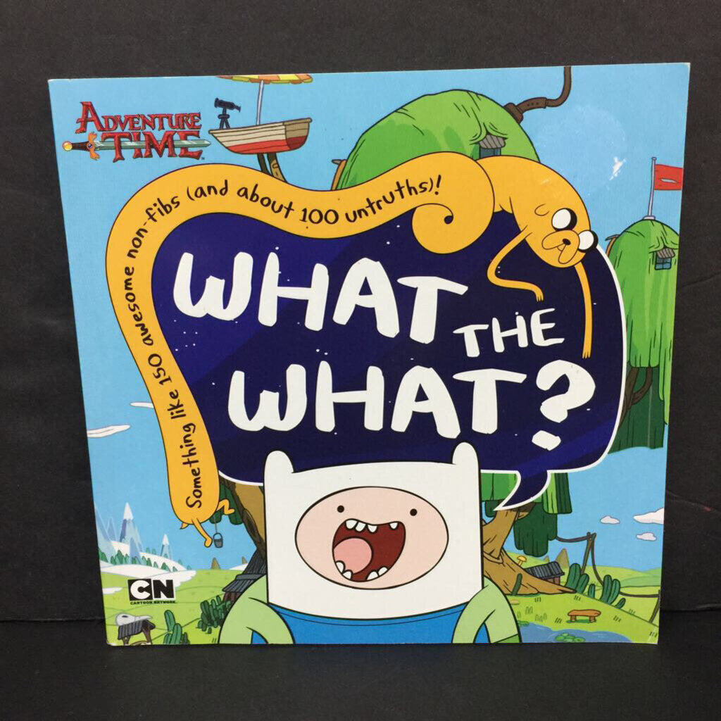 What the What?: Something Like 150 Non-Fibs (and About 100 Untruths) (Adventure Time) -character paperback