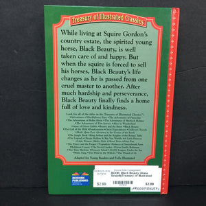 Black Beauty (Anna Sewell)(Treasury of Illustrated Classics) -classic chapter hardcover