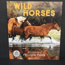 Load image into Gallery viewer, Wild Horses (Melissa Marr) (Mammals) -educational paperback
