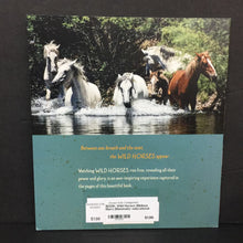 Load image into Gallery viewer, Wild Horses (Melissa Marr) (Mammals) -educational paperback
