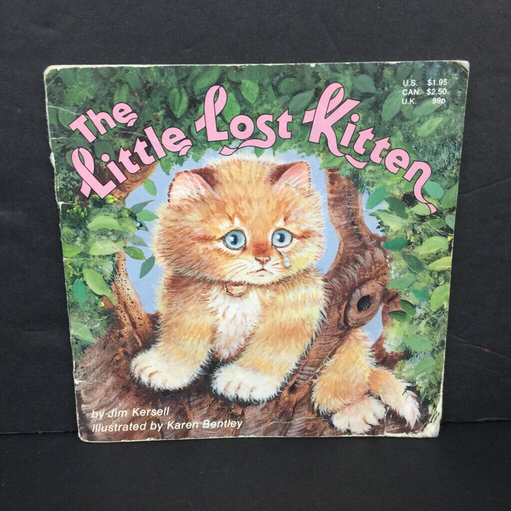 The Little Lost Kitten (Jim Kersell) -paperback