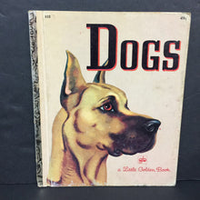 Load image into Gallery viewer, Dogs (Golden Book Vintage Collectible 1975) (Nita Jonas) -hardcover
