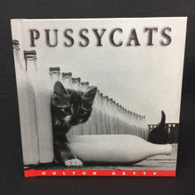Load image into Gallery viewer, Pussycats (Hulton Getty) (Hallmark) -hardcover
