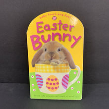 Load image into Gallery viewer, Easter Bunny (Season: Spring, Holiday) -touch &amp; feel board
