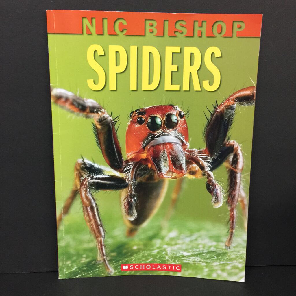 Spiders (Nic Bishop) (Insects) -educational paperback