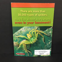 Load image into Gallery viewer, Spiders (Nic Bishop) (Insects) -educational paperback

