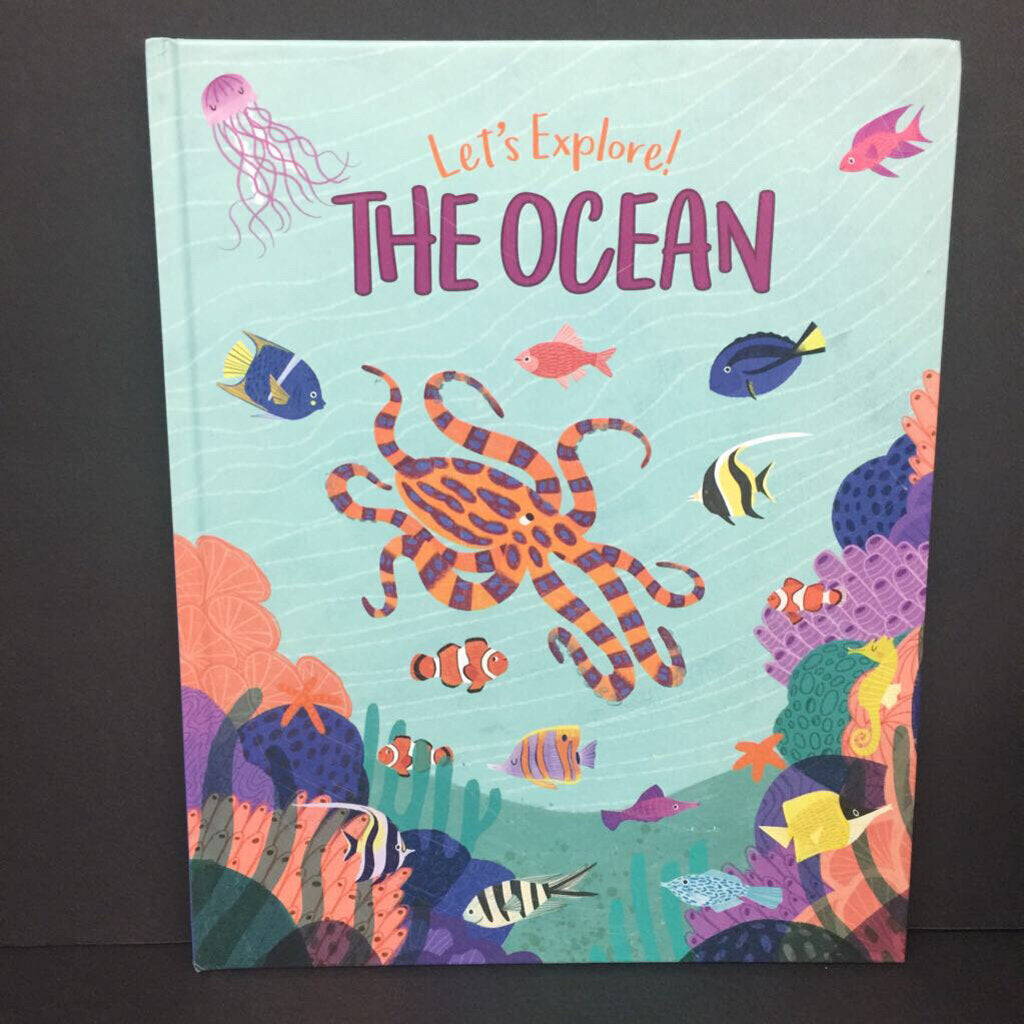 Let's Explore! The Ocean (Polly Cheeseman) (Sea Animals) -educational hardcover
