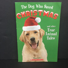 Load image into Gallery viewer, The Dog Who Saved Christmas: And Other True Tales (Allan Zullo) (Season: Winter, Holiday) -chapter paperback
