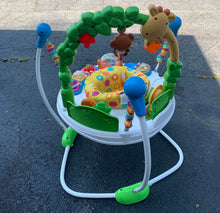 Load image into Gallery viewer, Go Wild Activity Jumperoo
