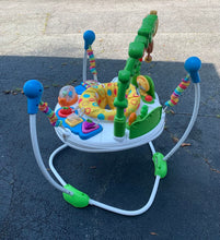 Load image into Gallery viewer, Go Wild Activity Jumperoo
