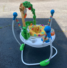 Load image into Gallery viewer, Go Wild Activity Jumperoo
