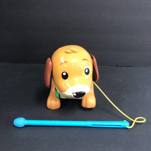 Zoo Jamz Dog Xylophone Battery Operated