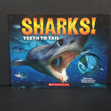 Load image into Gallery viewer, Sharks! Teeth to Tail (David Rheinstrom) (Sea Animals/Sharks) -educational paperback
