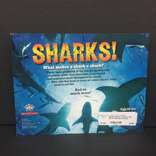 Load image into Gallery viewer, Sharks! Teeth to Tail (David Rheinstrom) (Sea Animals/Sharks) -educational paperback
